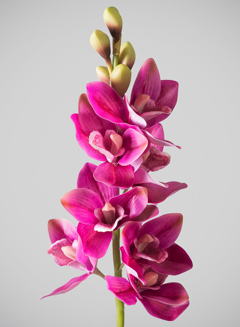 31in Long Real Touch Real Look Cymbidium Orchid Stem
