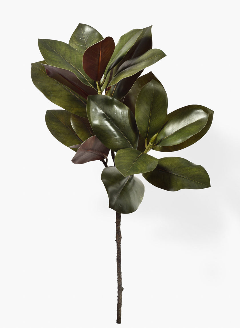32in Long Magnolia Leaves Spray