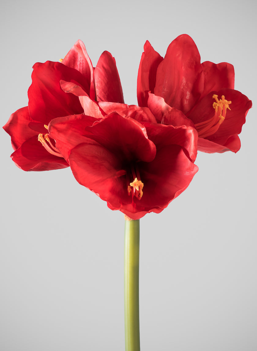 24in Long Real Touch Real Look Amaryllis Stem Holiday Red