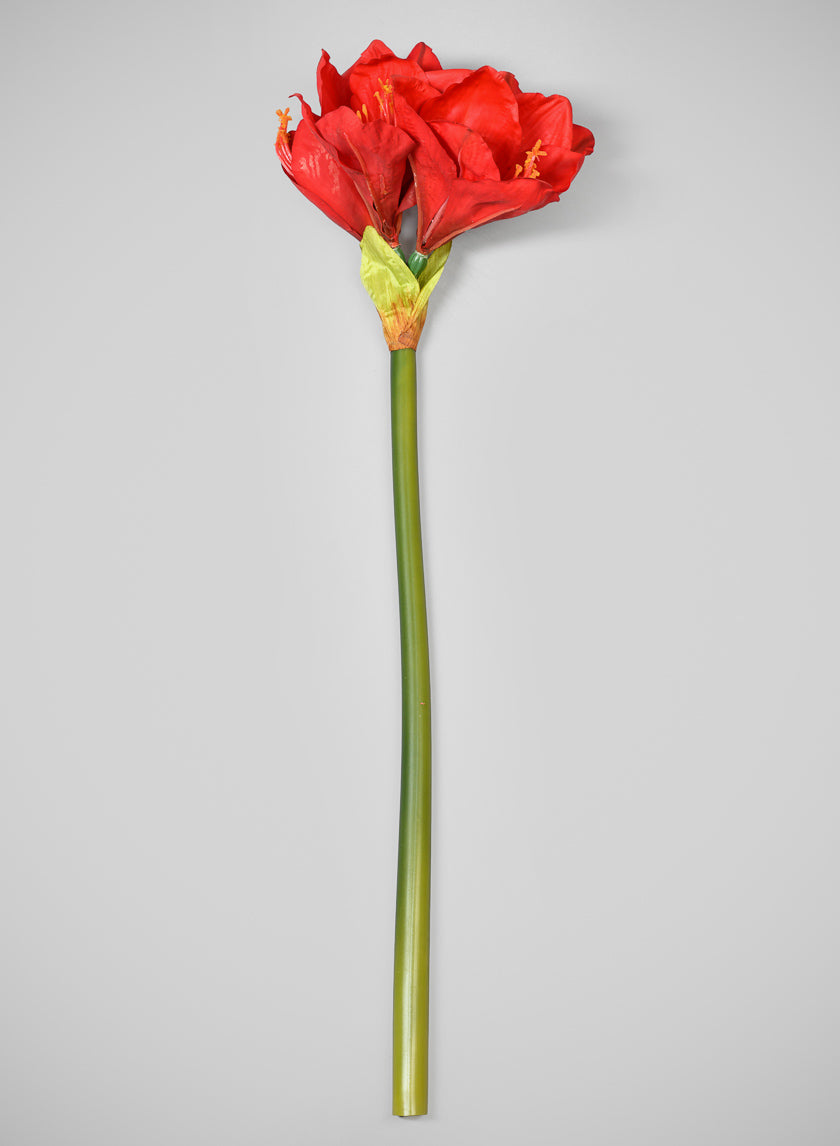 24in Long Real Touch Real Look Amaryllis Stem Holiday Red