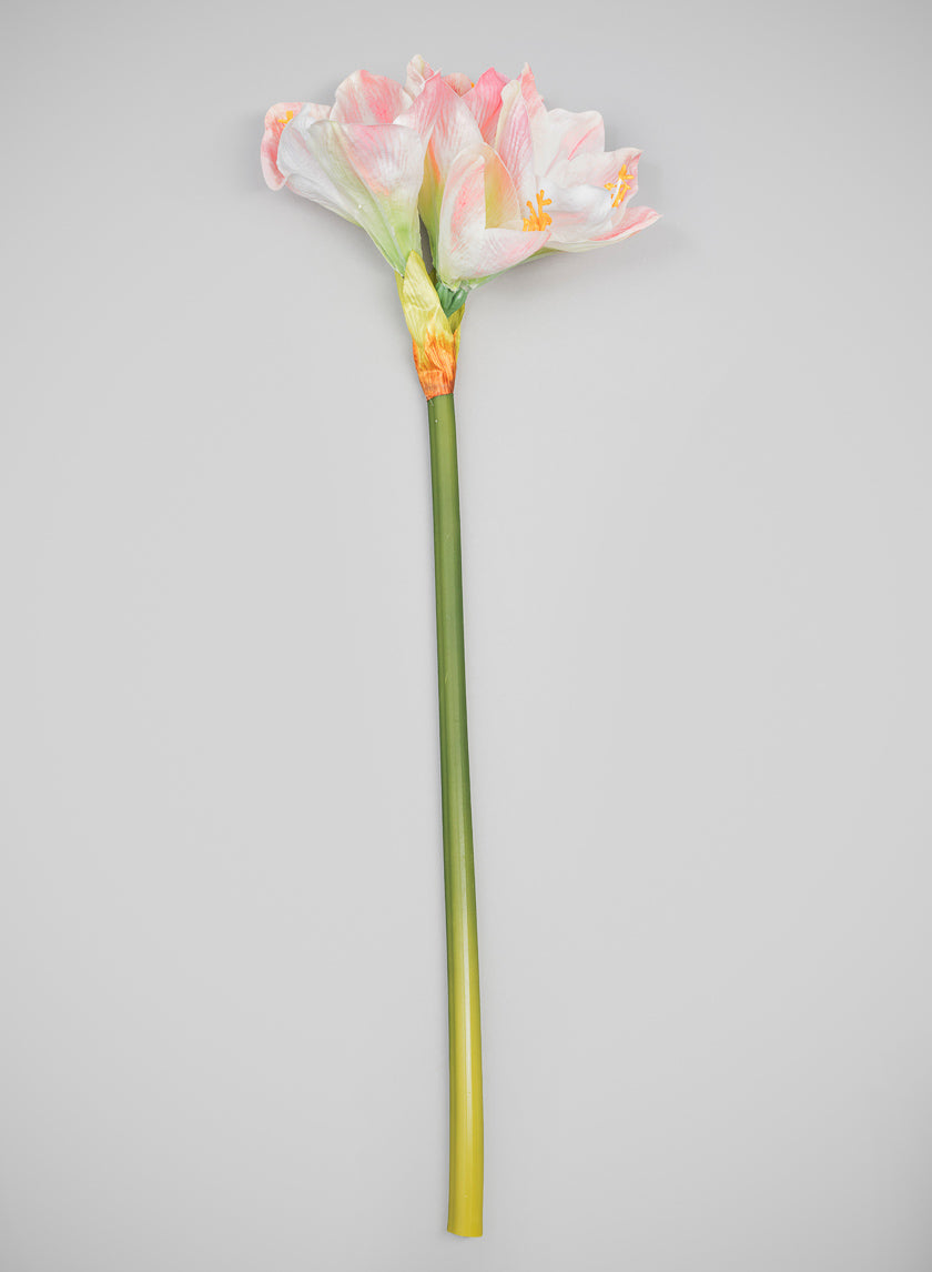 24in Long Real Touch Real Look Amaryllis Stem Blushing Pink