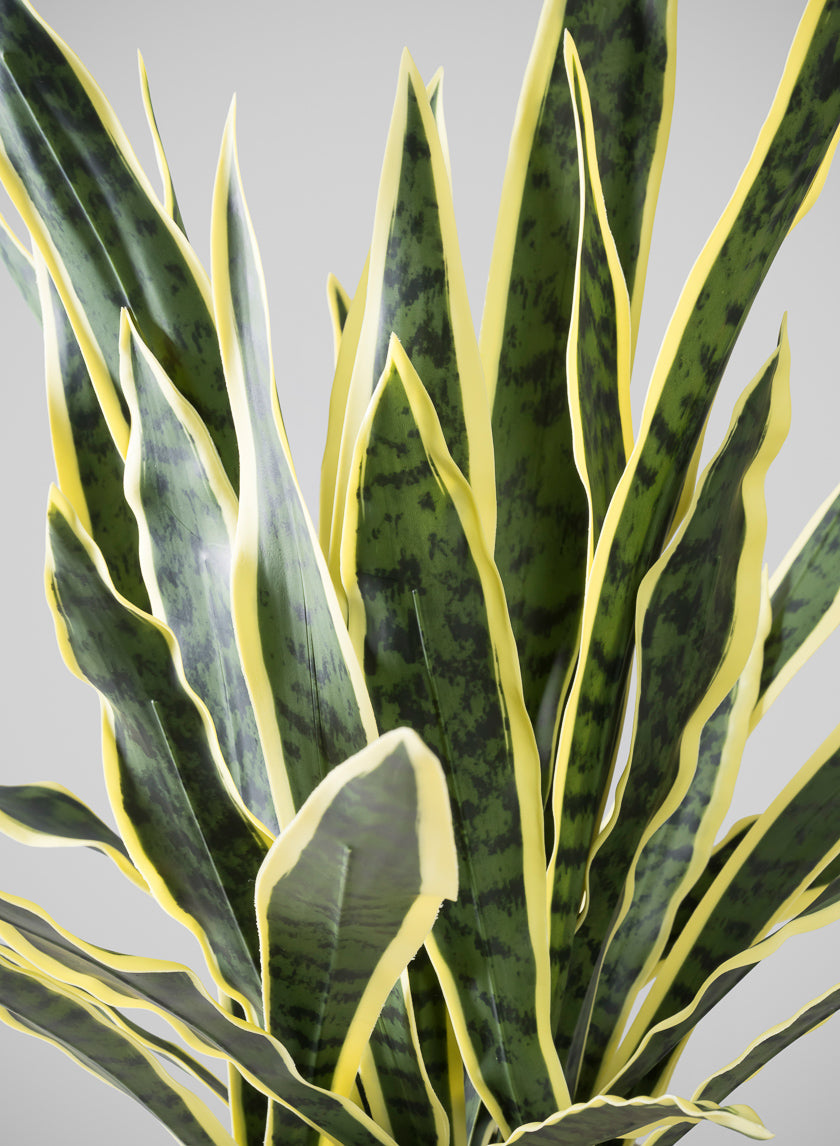 27in Tall Real Touch Real Look Snake Plant in Pot