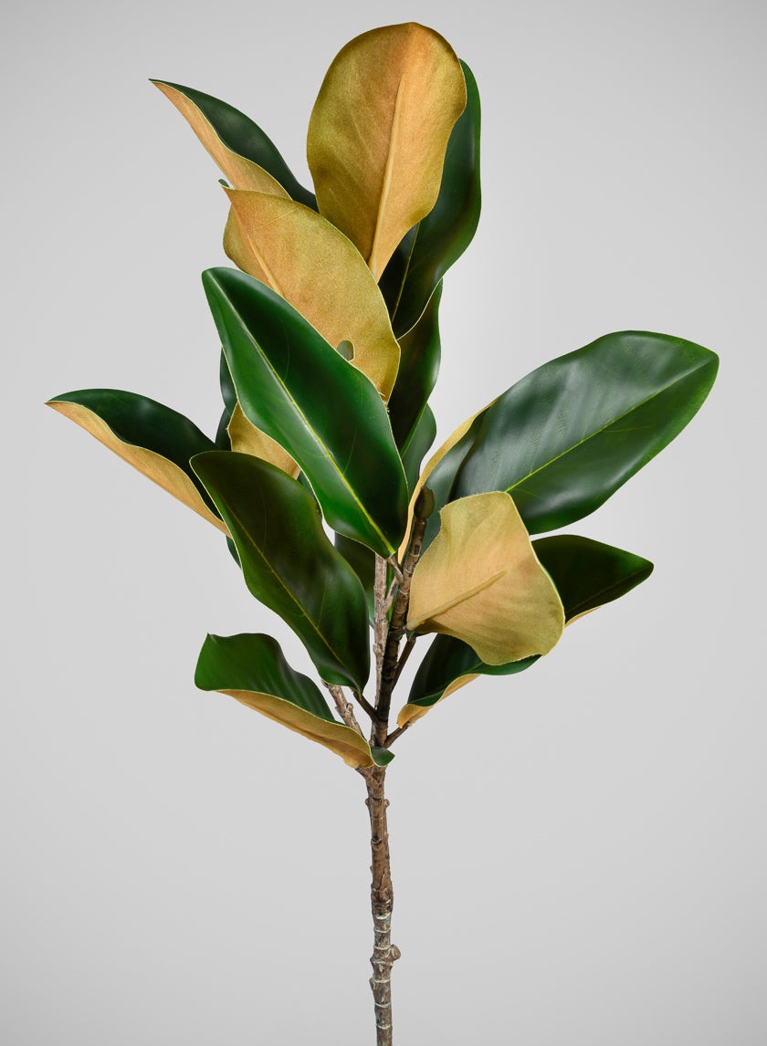 40in Long Real Touch Real Look All Season Magnolia Leaves Stem