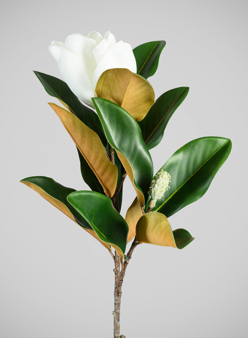 34in Long Real Touch Real Look Blooming Magnolia Stem