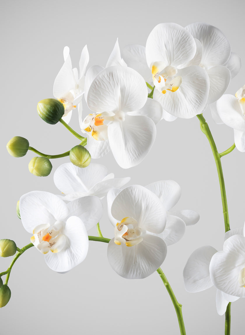 23in Tall Real Touch 3 Stem Blooming Orchid Phalaenopsis in Decorative Ceramic Pot