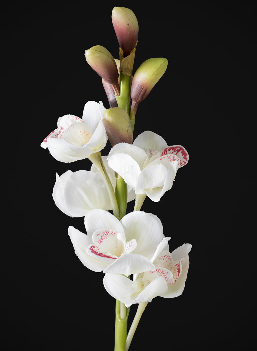23in Long Real Touch Real Look Cymbidium Orchid Stem in White, Case of 12