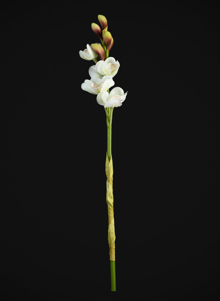 23in Long Real Touch Real Look Cymbidium Orchid Stem in White, Case of 12