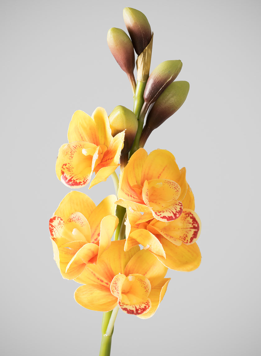 23in Long Real Touch Real Look Cymbidium Orchid Stem, Burnt Yellow, Case of 12