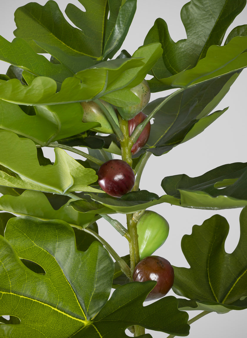 36in Tall Real Touch Real Look Fig Tree in Cement Pot