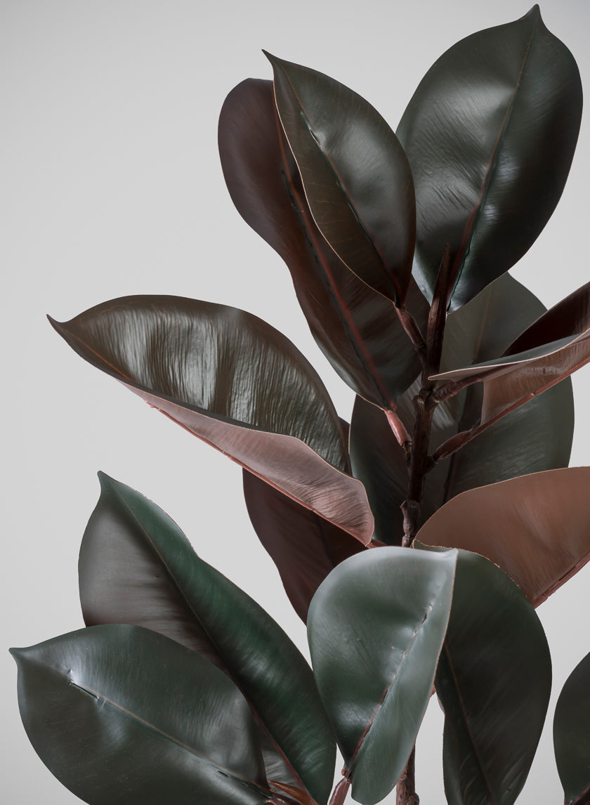 26in Tall Real Touch Real Look Rubber Tree in Ceramic Pot