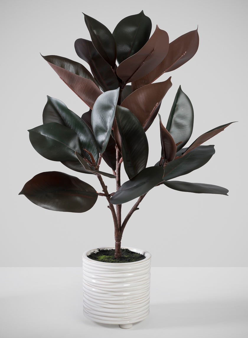26in Tall Real Touch Real Look Rubber Tree in Ceramic Pot