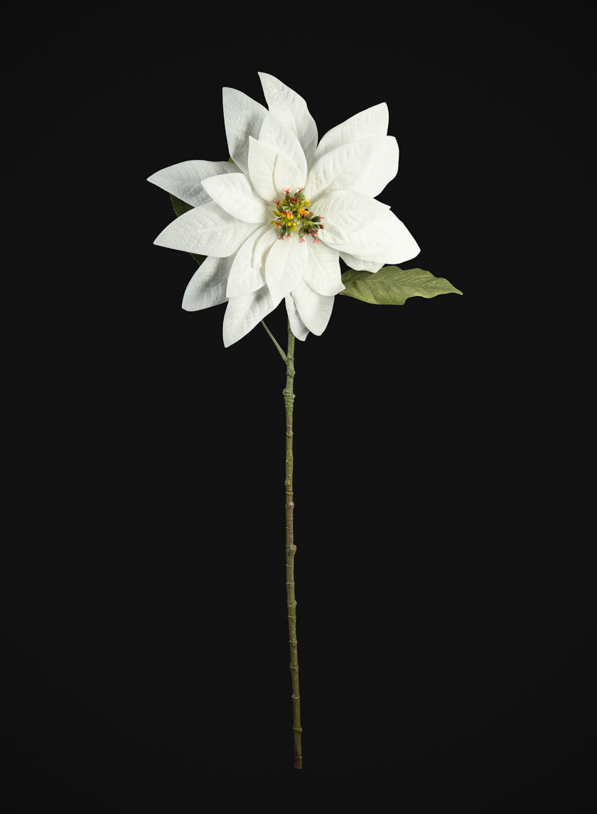 29in Long Real Touch Real Look White Poinsettia Stem, Case of 12