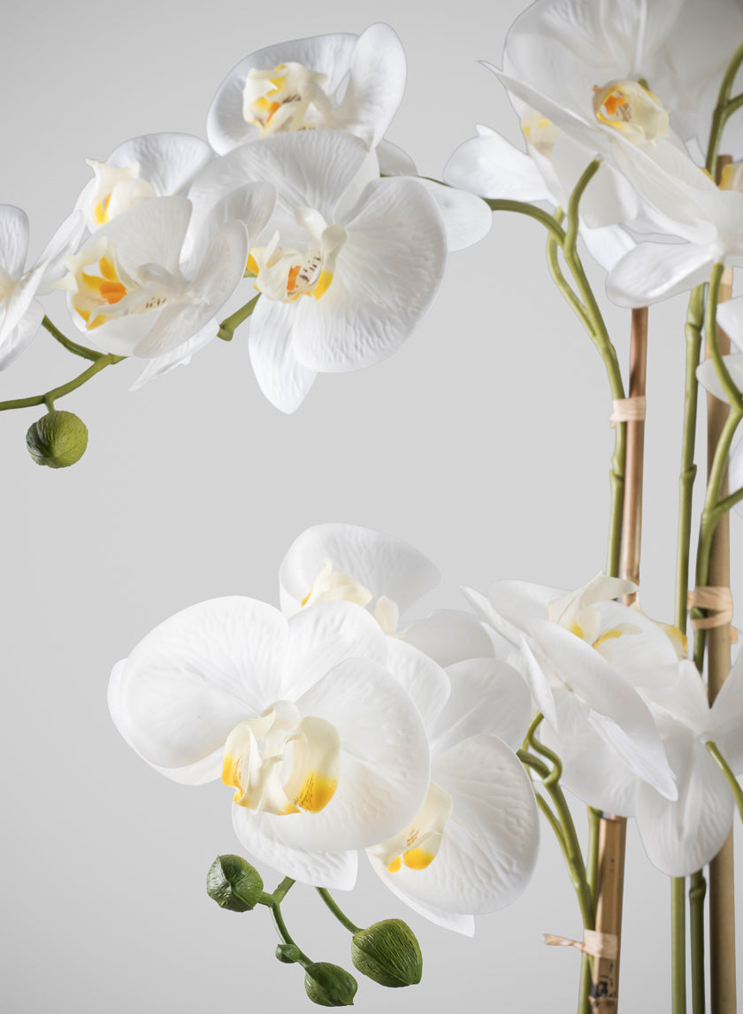 31in Tall Real Touch 5 Stem Blooming Orchid Phalaenopsis in Decorative Ceramic Pot