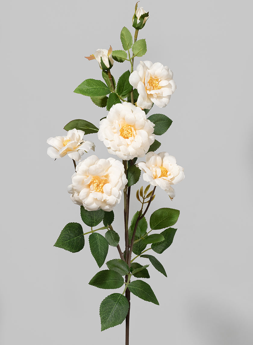 28in Long Cream Icelandic Rose Spray