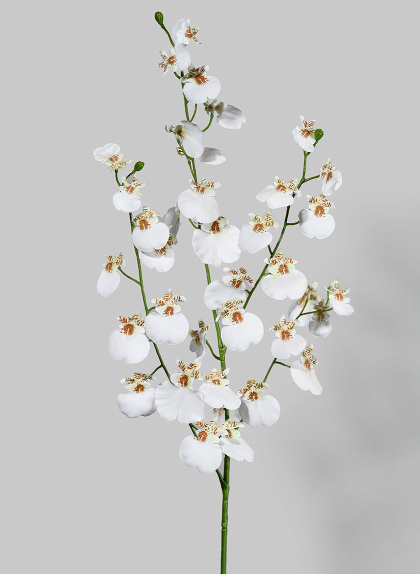 36in Long White Dancing Orchid Spray