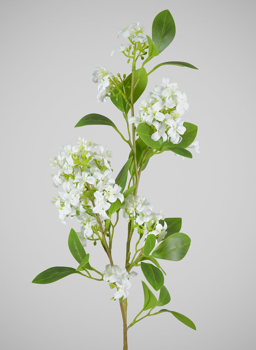 31in Long Jasmine Spray, Case of 12