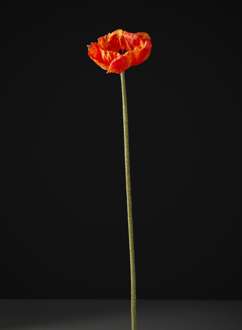 27in Long Red Poppy Stem, Case of 12