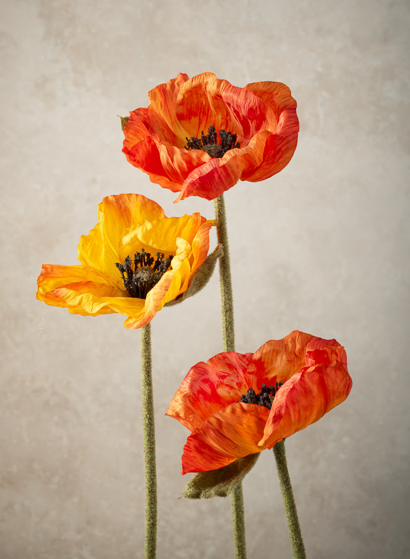 27in Long Orange Poppy Stem, Case of 12