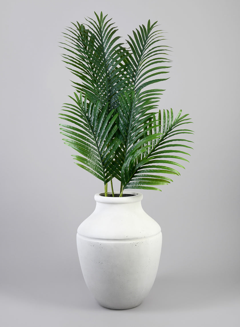 36in Long Areca Palm