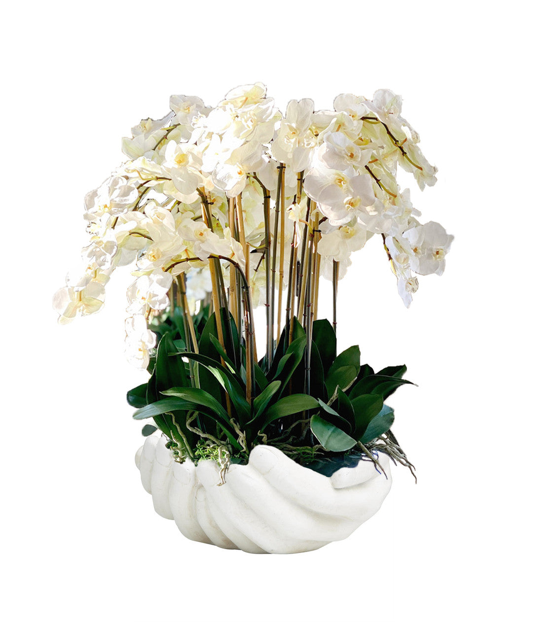 White Phalaenopsis Orchids in White Open Hands Sculpture Vase