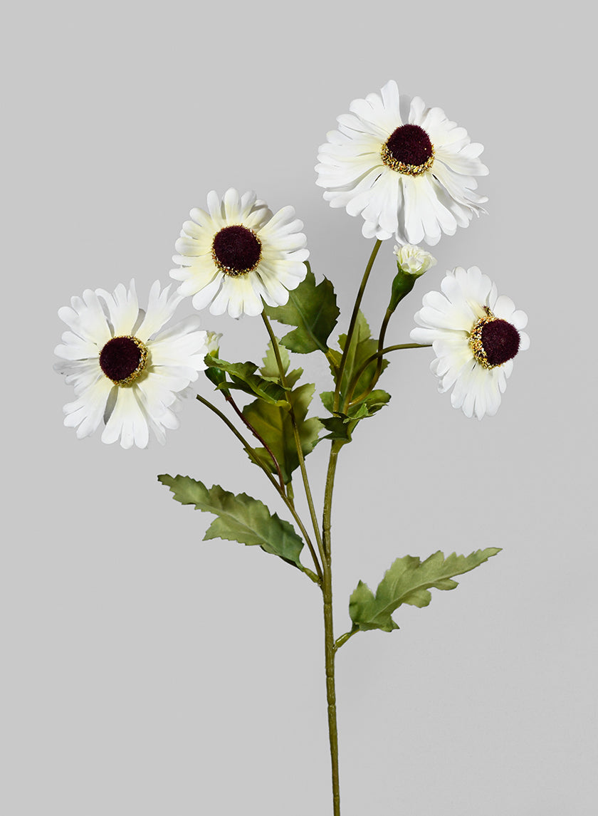 24in Long Cream Chrysanthemum Spray