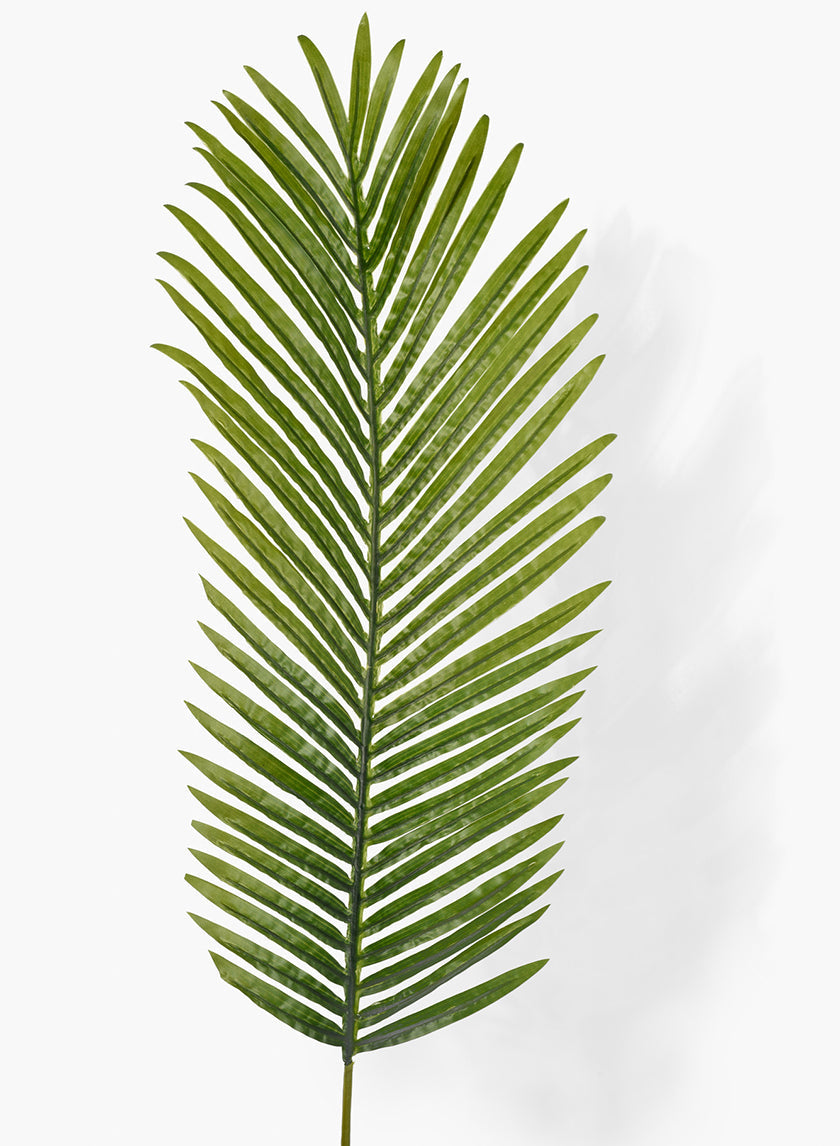 45in Long Areca Palm Leaf