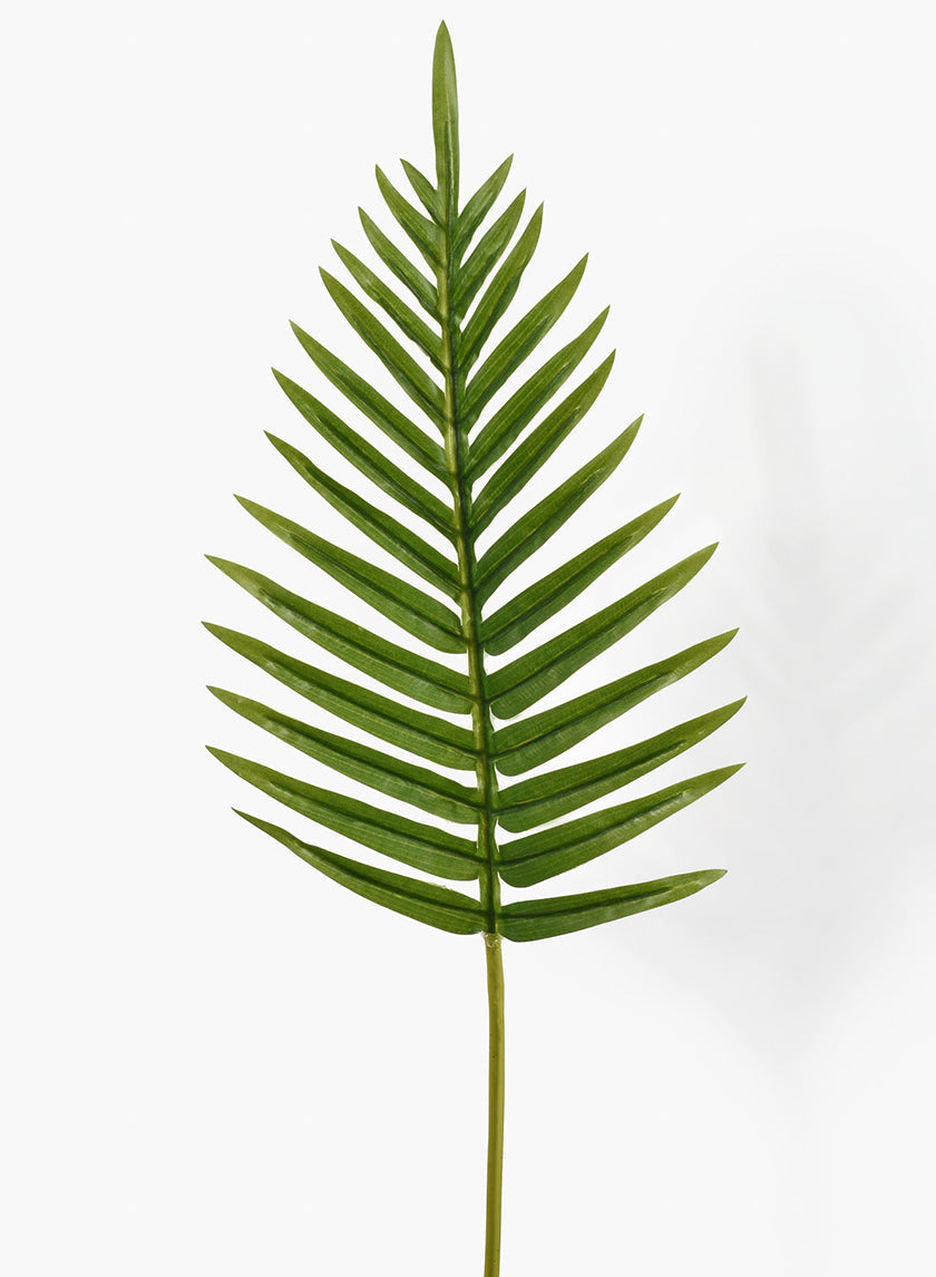26in Long Fern Leaf