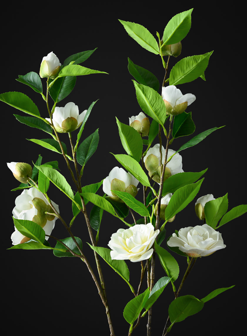34in Long White Camellia Spray, Case of 12