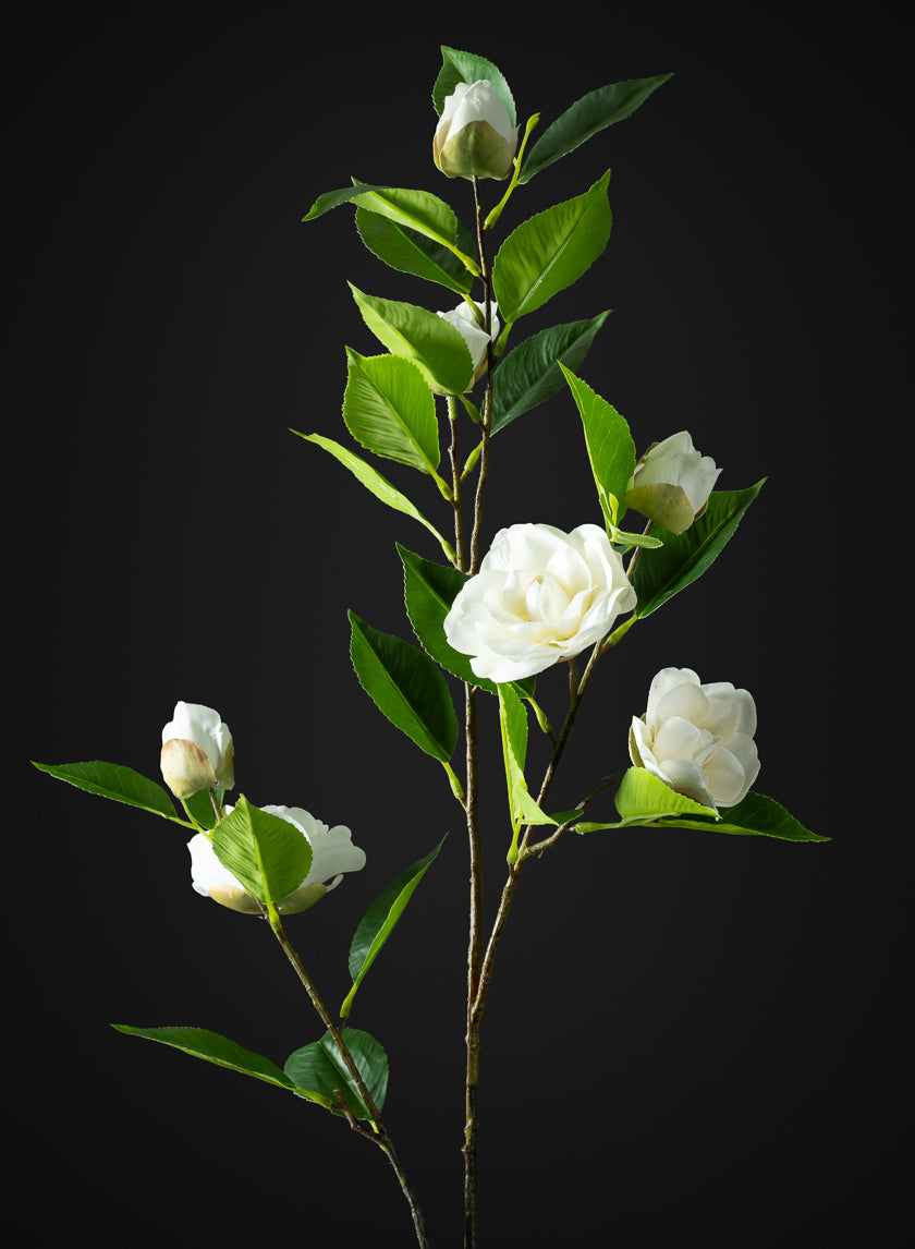 34in Long White Camellia Spray, Case of 12