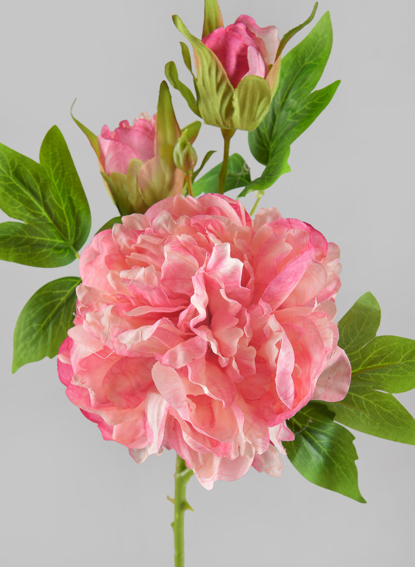 22in Long Spring Blooming with Buds Pink Peony Stem