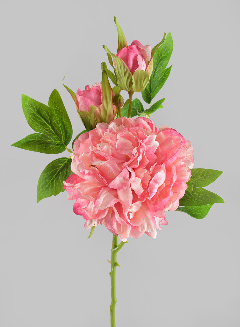 22in Long Spring Blooming with Buds Pink Peony Stem