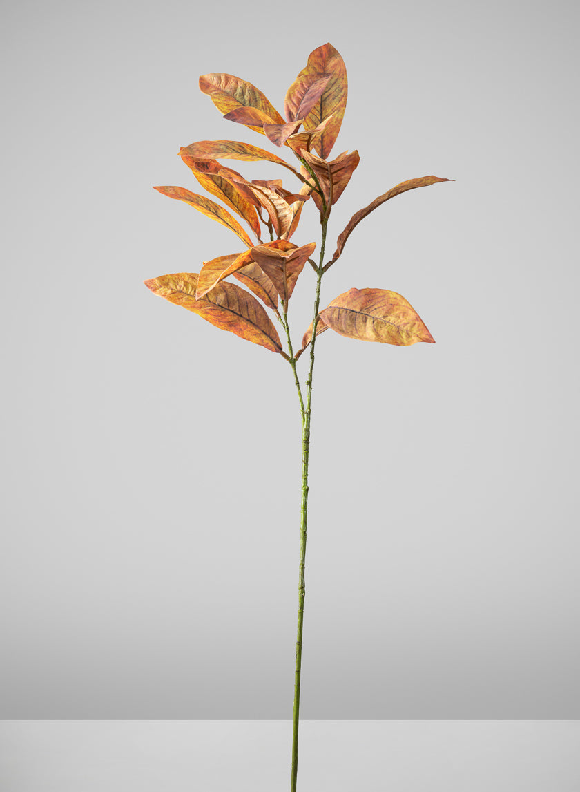 27in Long Fall Magnolia Leaf Pick, Case of 12