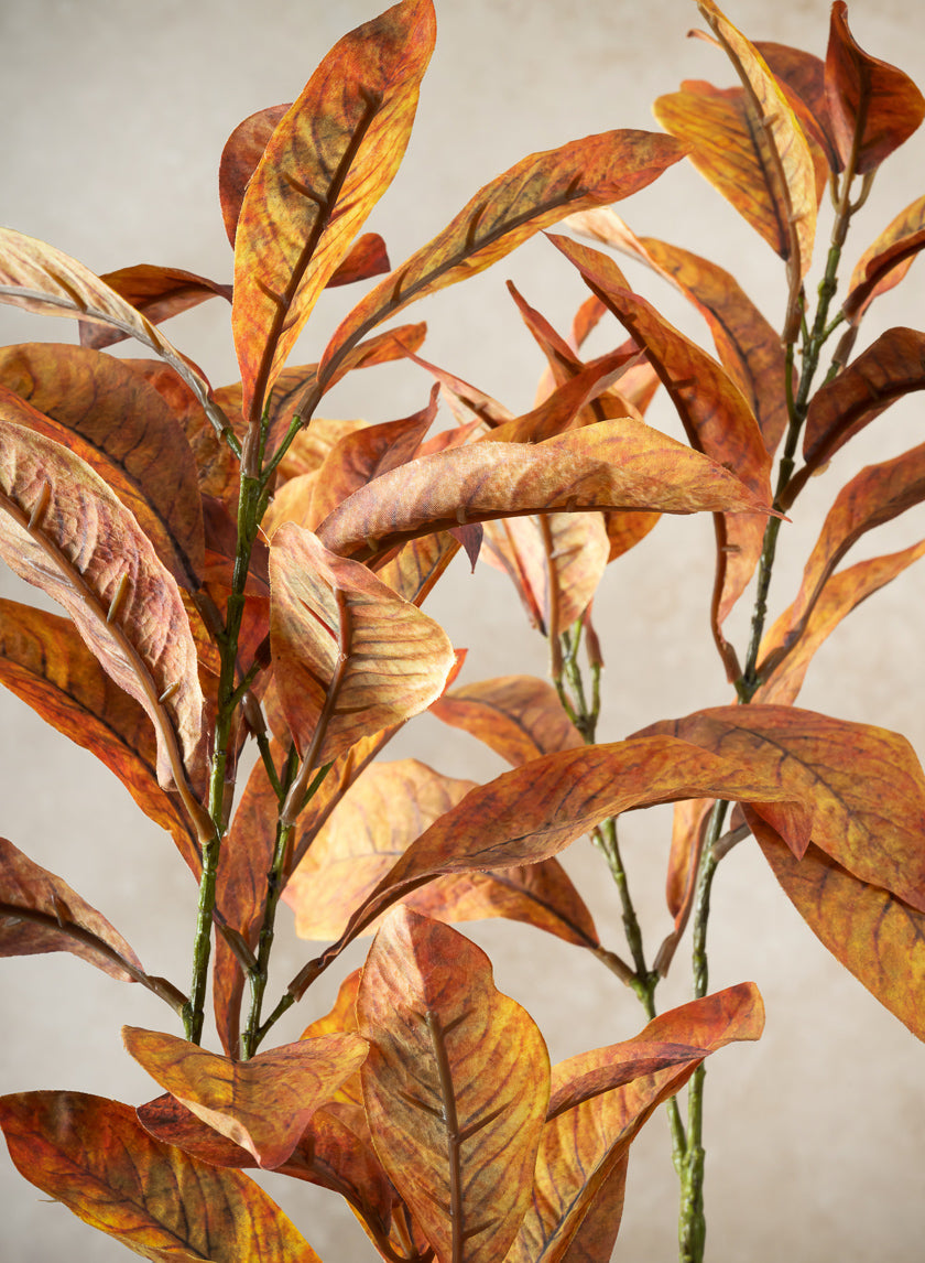 27in Long Fall Magnolia Leaf Pick, Case of 12