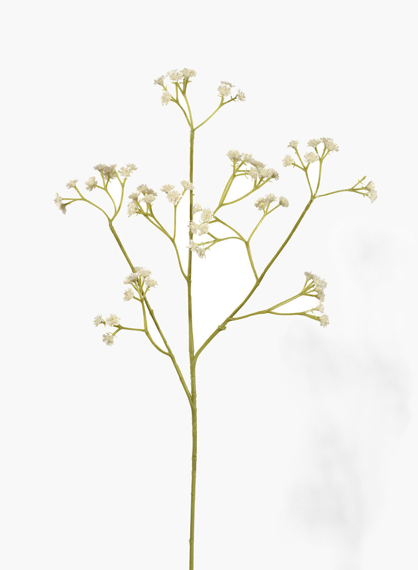 25in Long Gypsophila Spray