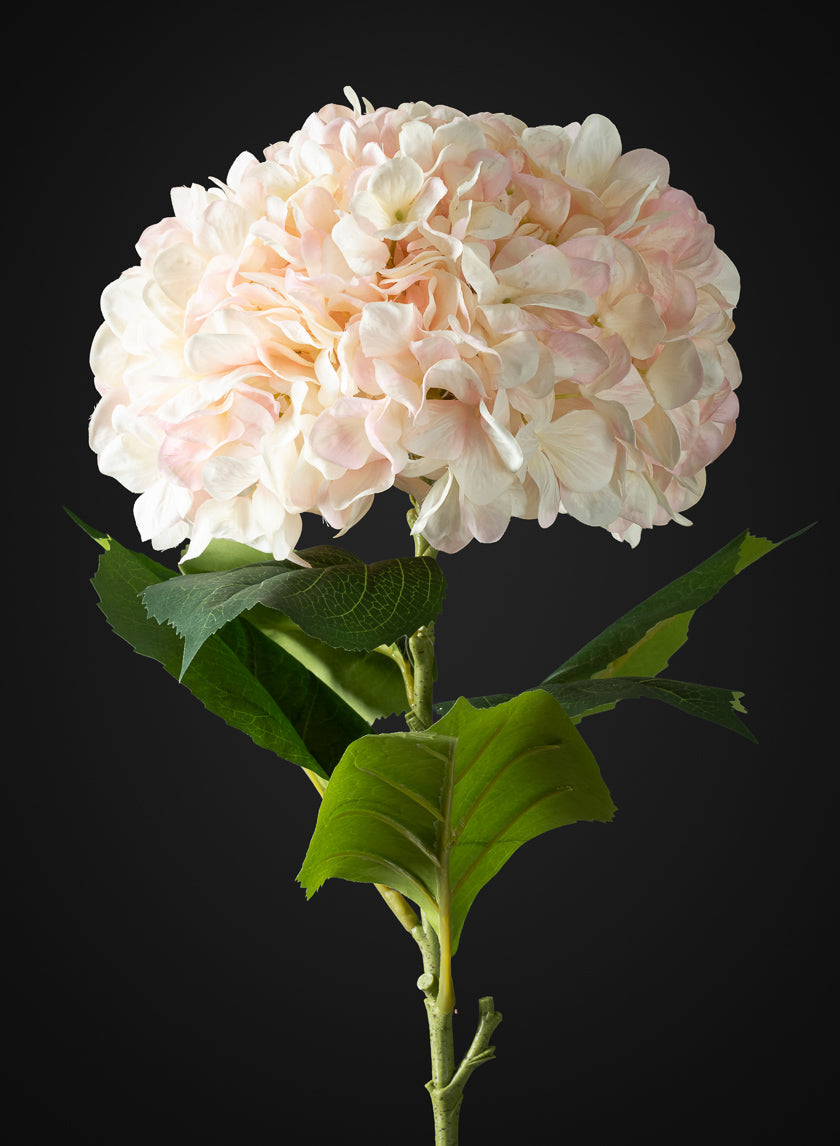 42in Long Light Pink Real Touch Mophead Hydrangea Stem, Case of 6