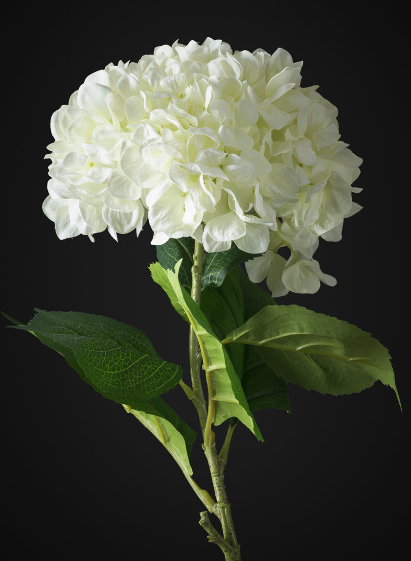 42in Long White Real Touch Mophead Giant Hydrangea Stem, Case of 6