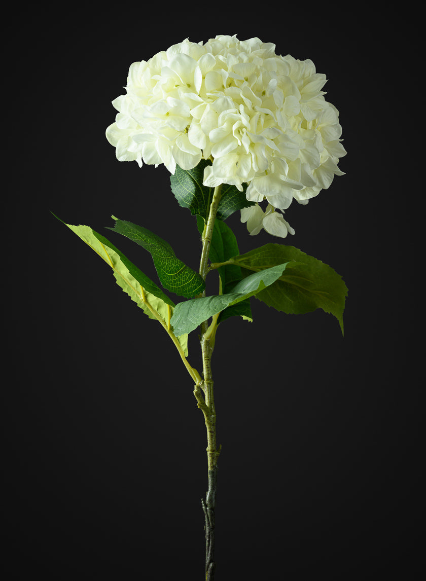 42in Long White Real Touch Mophead Giant Hydrangea Stem, Case of 6