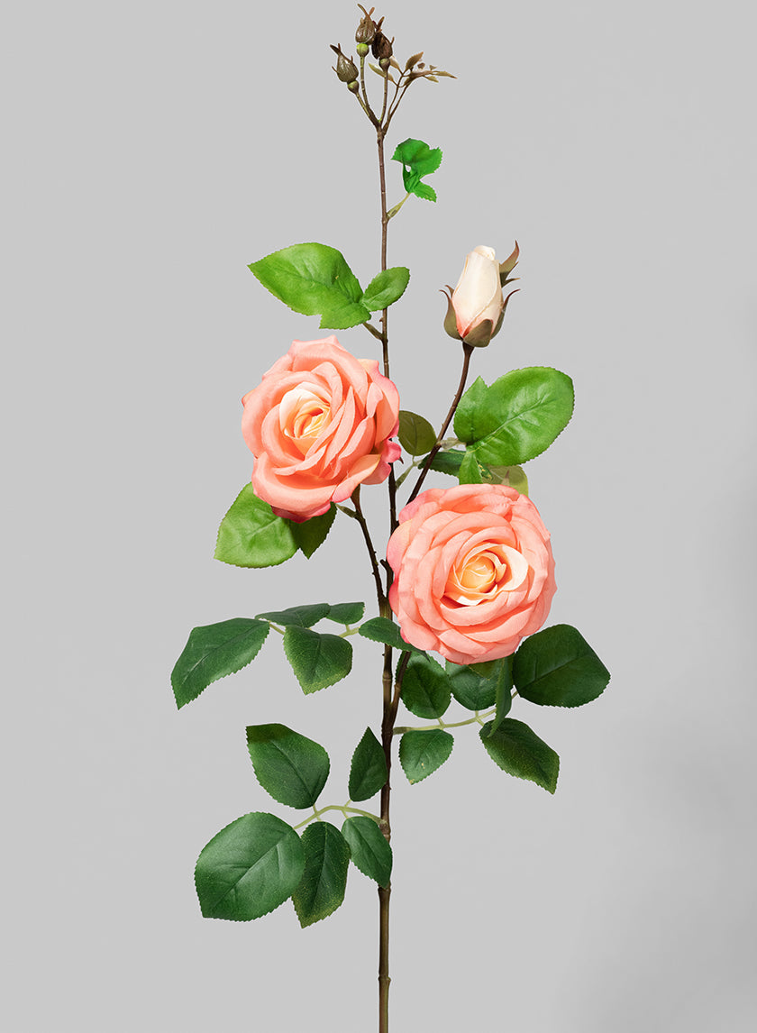 35in Long Peach Rose Spray