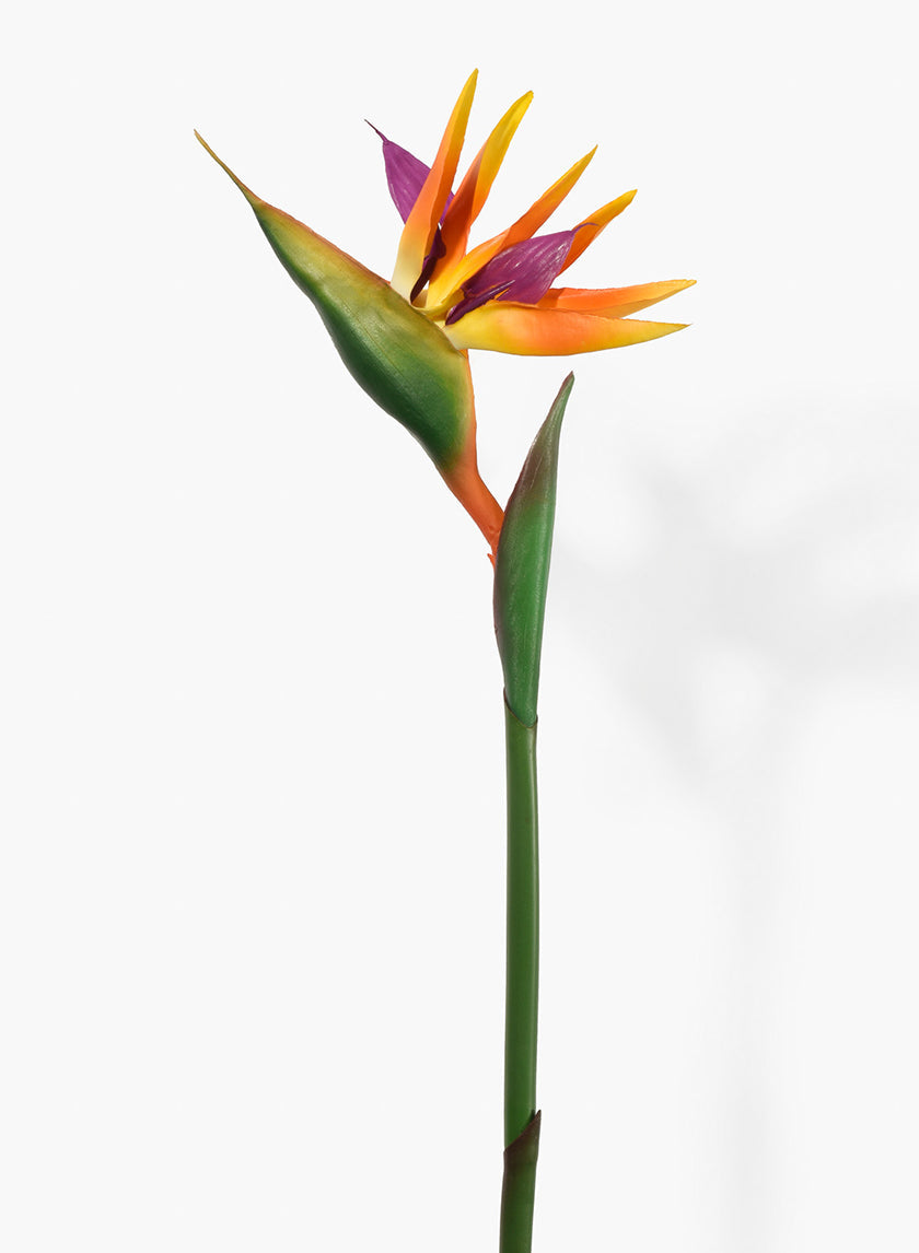 37in Long Orange Bird Of Paradise