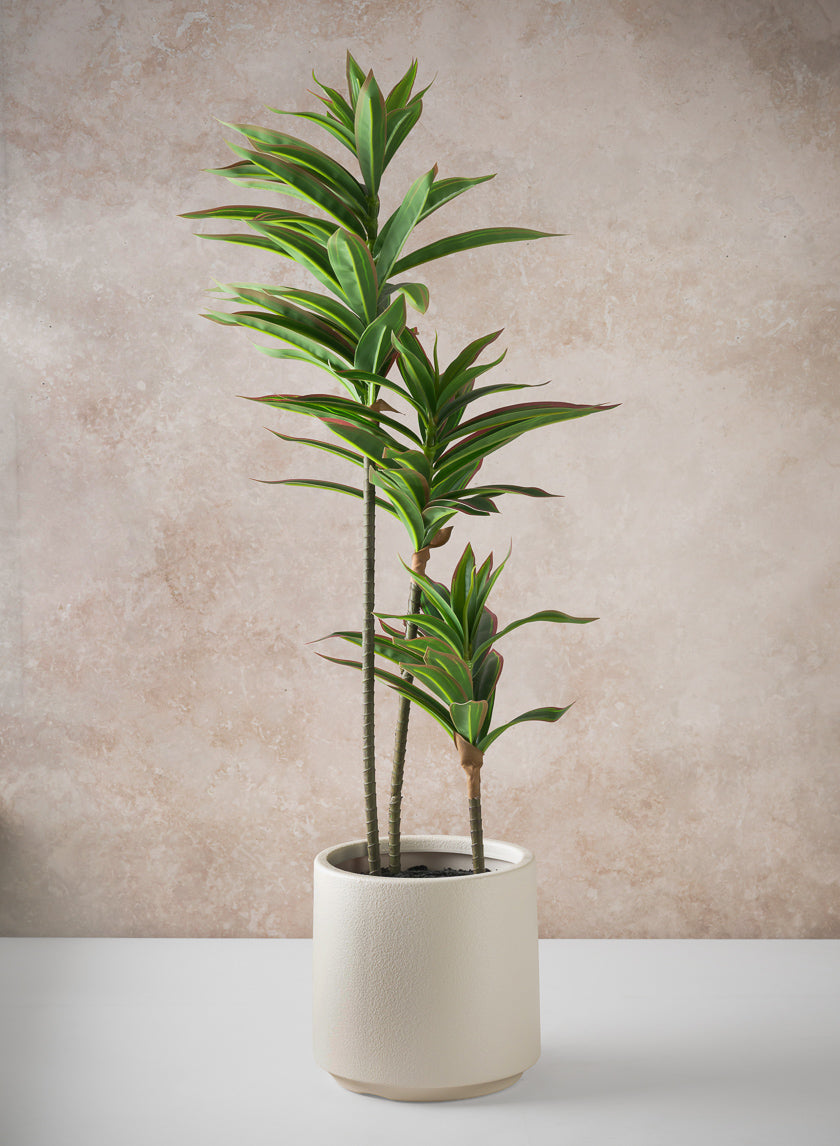 32in Tall Real Touch Dracaena plant In a White Pot