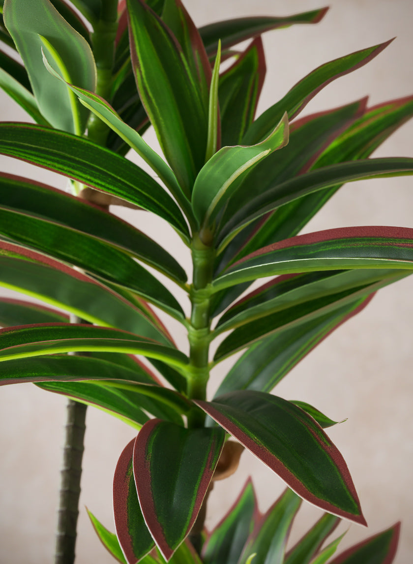 32in Tall Real Touch Dracaena plant In a White Pot