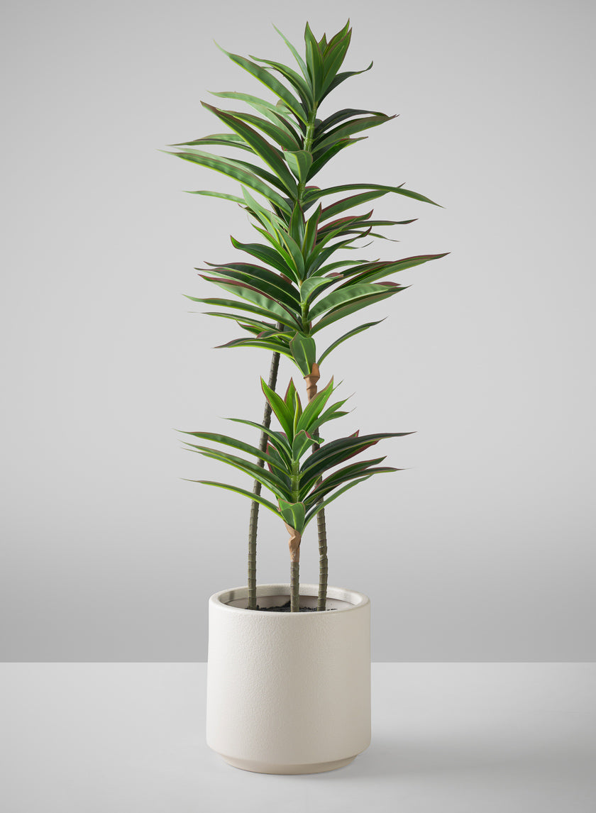 32in Tall Real Touch Dracaena plant In a White Pot