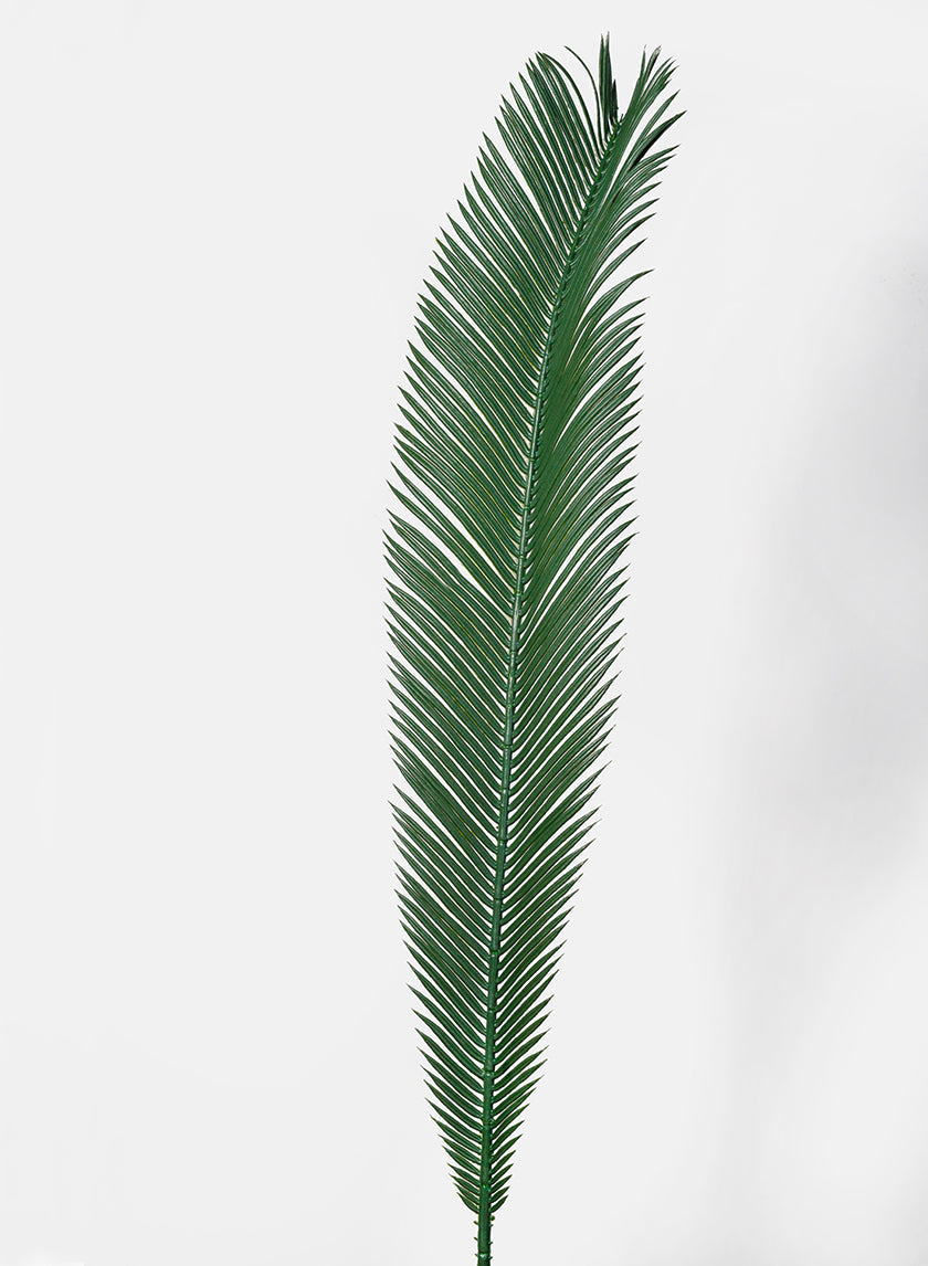 35in Long Cycas Palm Branch