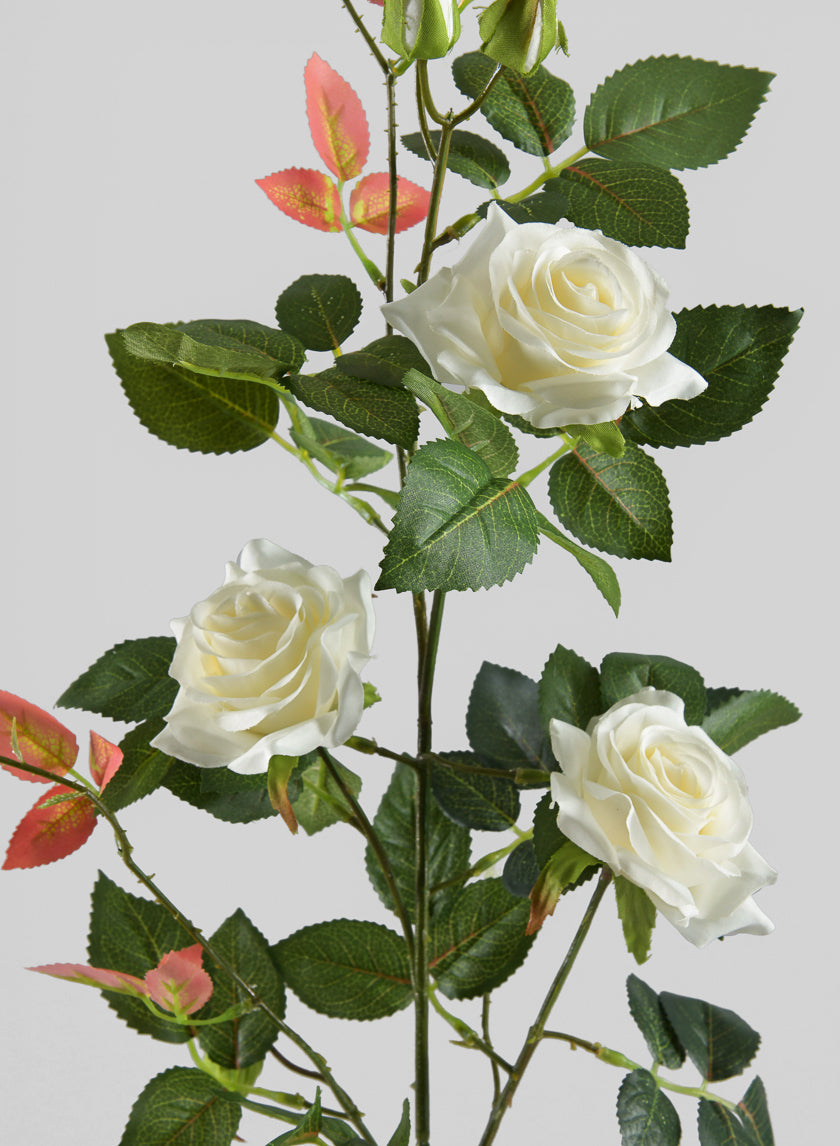 31in Long British Garden Rose Blooming Stem