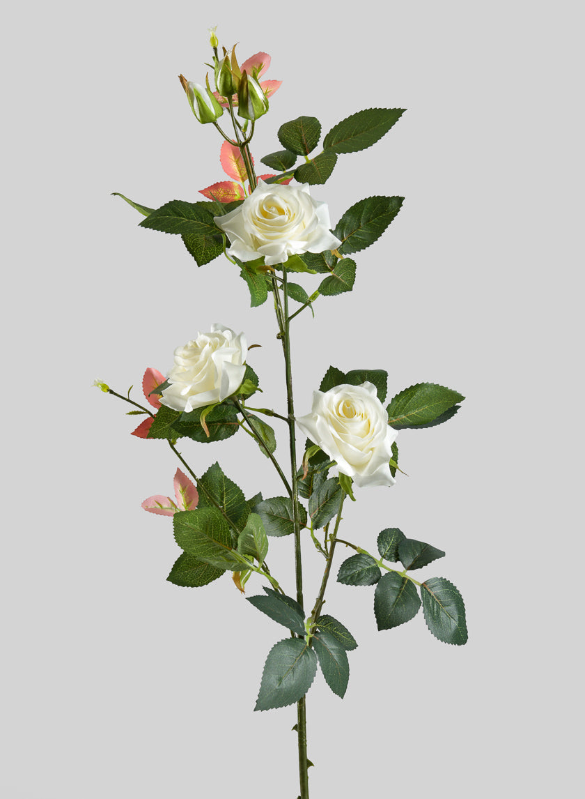 31in Long British Garden Rose Blooming Stem