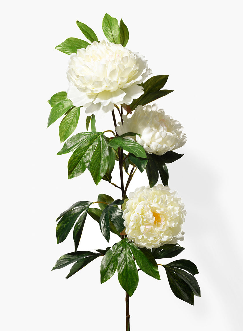 43in Long Peach Peony Spray