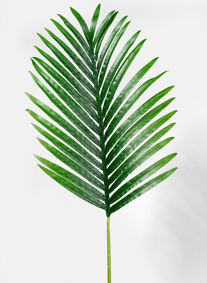 36in Long Areca Palm