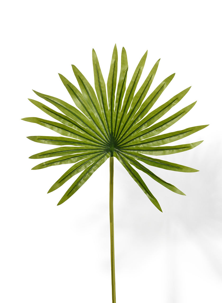 19in Long Mini Fan Palm Leaf