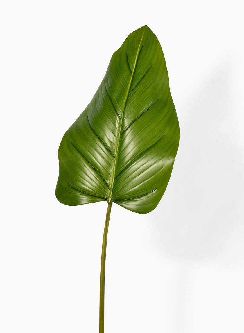 37in Long Beryl Leaf
