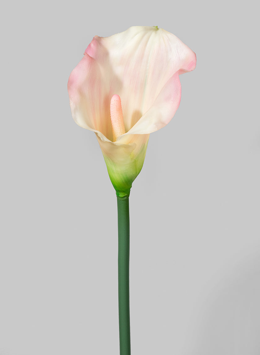 29in Long Pale Pink Calla Lily